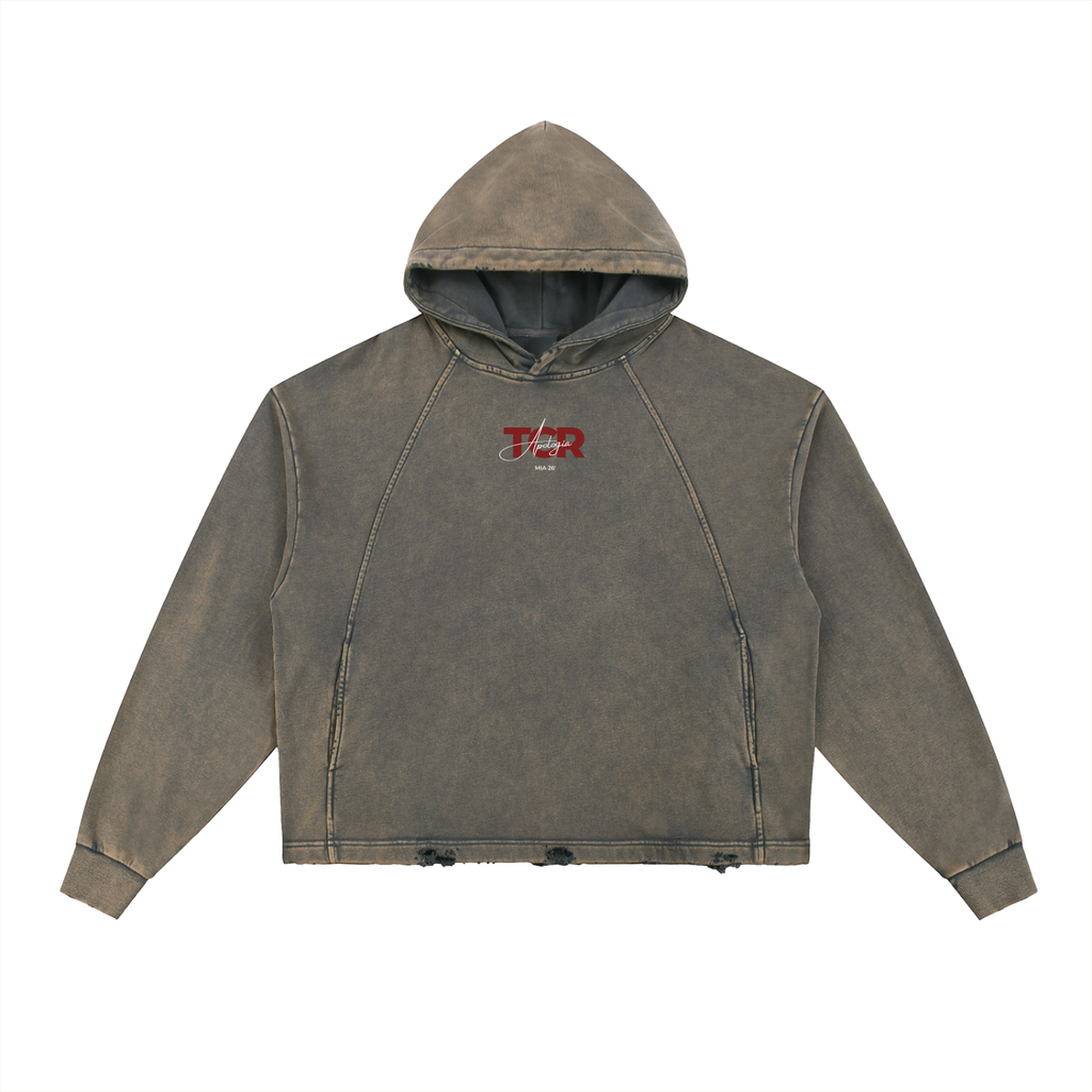 Heavyweight Hoodie 'Apología'